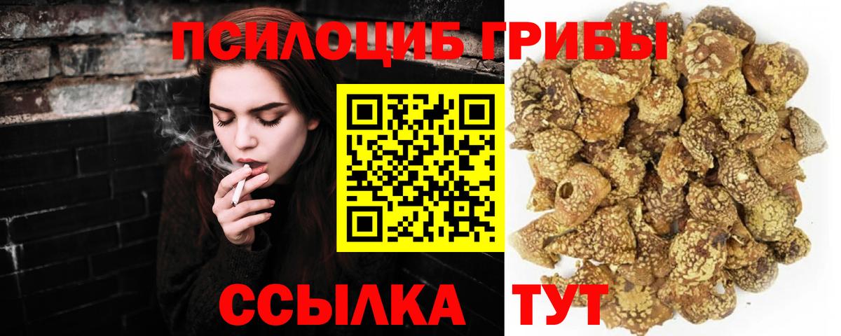 Псилоцибиновые грибы мицелий  Вход с VPN  Апрелевка  Псилоцибиновые грибы MAGIC MUSHROOMS 